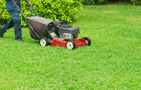 Lawn Maintenance Service