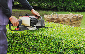 Shrub Trimming Service