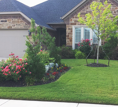 Lawn Maintenance