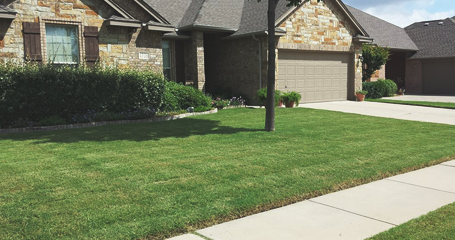 Nicely Trimmed Lawn Nicely Trimmed Lawn